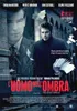 L'uomo nell' ombra (2010)