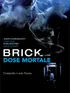 Brick - dose mortale (2005)