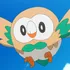 Rowlet