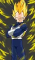 Super Saiyan 1 Vegeta