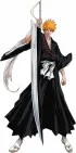 Shinigami Ichigo