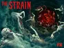 The Strain