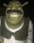 Steve Harvey Shrek