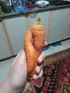 A supicious carrot