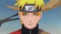 Naruto (its his name)