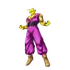 Piccolo Awakening