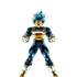 Vegeta SSJB Evolved