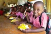 Think Ending World Hunger Is Unachievable Think Ag Hero.Jpg 1600x900 Q85 Crop Subsampling 2