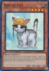 300px RescueCat RA02 EN SR 1E