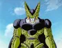 Cell Perfect Form