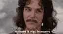 My Name Is Inigo Montoya - The Princess Bride