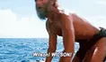 Wilson! - Cast Away