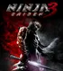 Ninja Gaiden 3 Box Artwork