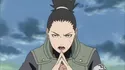 Shikamaru Nara 