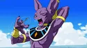 Lord Beerus