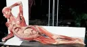 cadaver sexy - aula de biologia