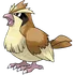 Pidgey