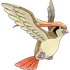 Pidgeot