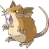 Raticate