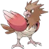 Spearow