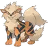 Arcanine