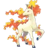 Rapidash