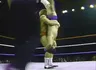 Piledriver (Paul Orndorff)