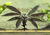 garuda eden