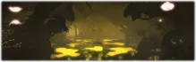 aurum vale