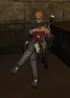 wandering minstrel