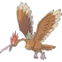 Fearow