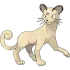 Persian