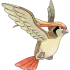 Pidgeot
