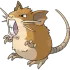Raticate