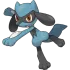 Riolu