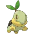 Turtwig