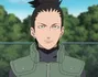 Shikamaru