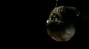 Anglerfish