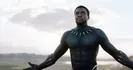 Black Panther(Infinity War)