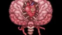 Brain Of Cthulhu