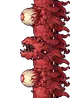 Wall Of Flesh