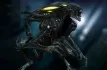 Xenomorph