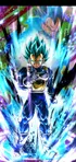 Vegeta (SSJ Blue)