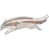 Linoone