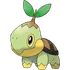 Turtwig