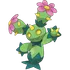 Maractus