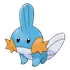 Mudkip