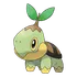 Turtwig