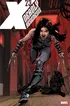 X 23