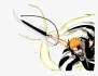 Tensa Zangetsu (True Bankai)